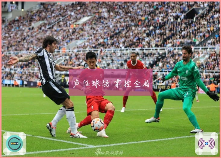 声临球场 掌控全局